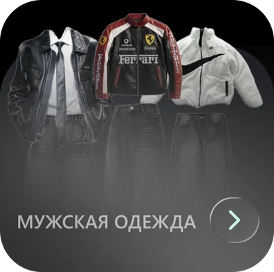 Мужская одежда
